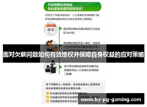 面对欠薪问题如何有效维权并保障自身权益的应对策略