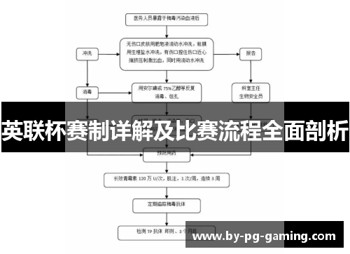 英联杯赛制详解及比赛流程全面剖析