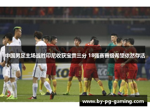 中国男足主场战胜印尼收获宝贵三分 18强赛晋级希望依然存活