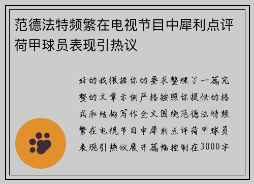 范德法特频繁在电视节目中犀利点评荷甲球员表现引热议