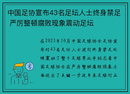 中国足协宣布43名足坛人士终身禁足 严厉整顿腐败现象震动足坛