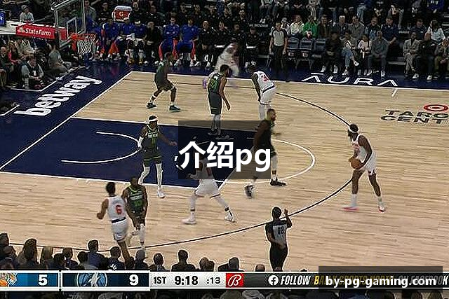 介绍pg